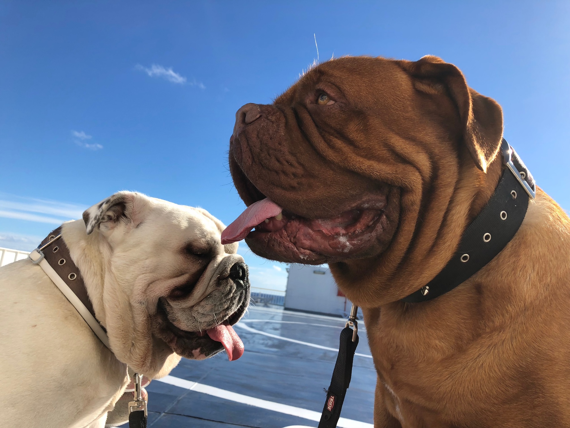 Matt & Marshall - Nuestro equipo